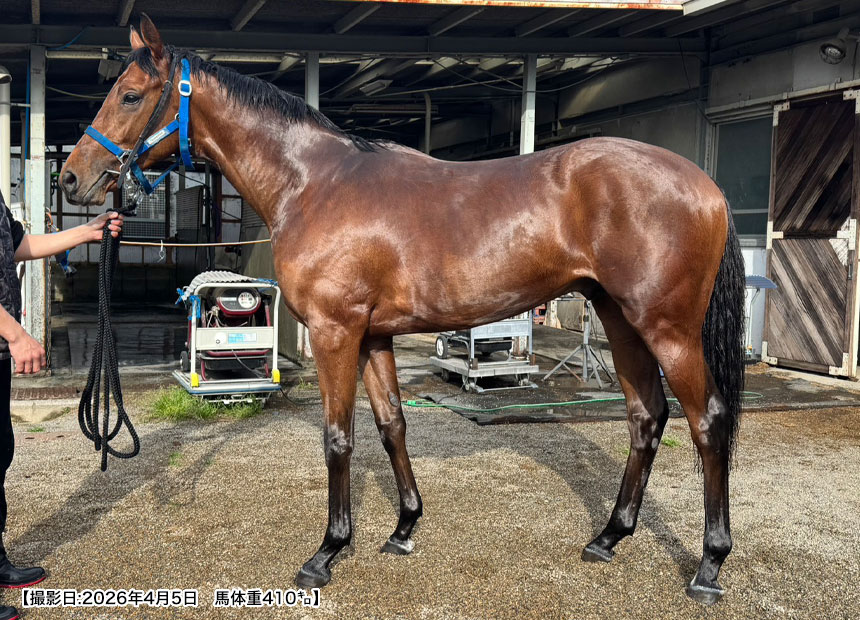 ヴェルジョワーズ2024（父マインドユアビスケッツ）